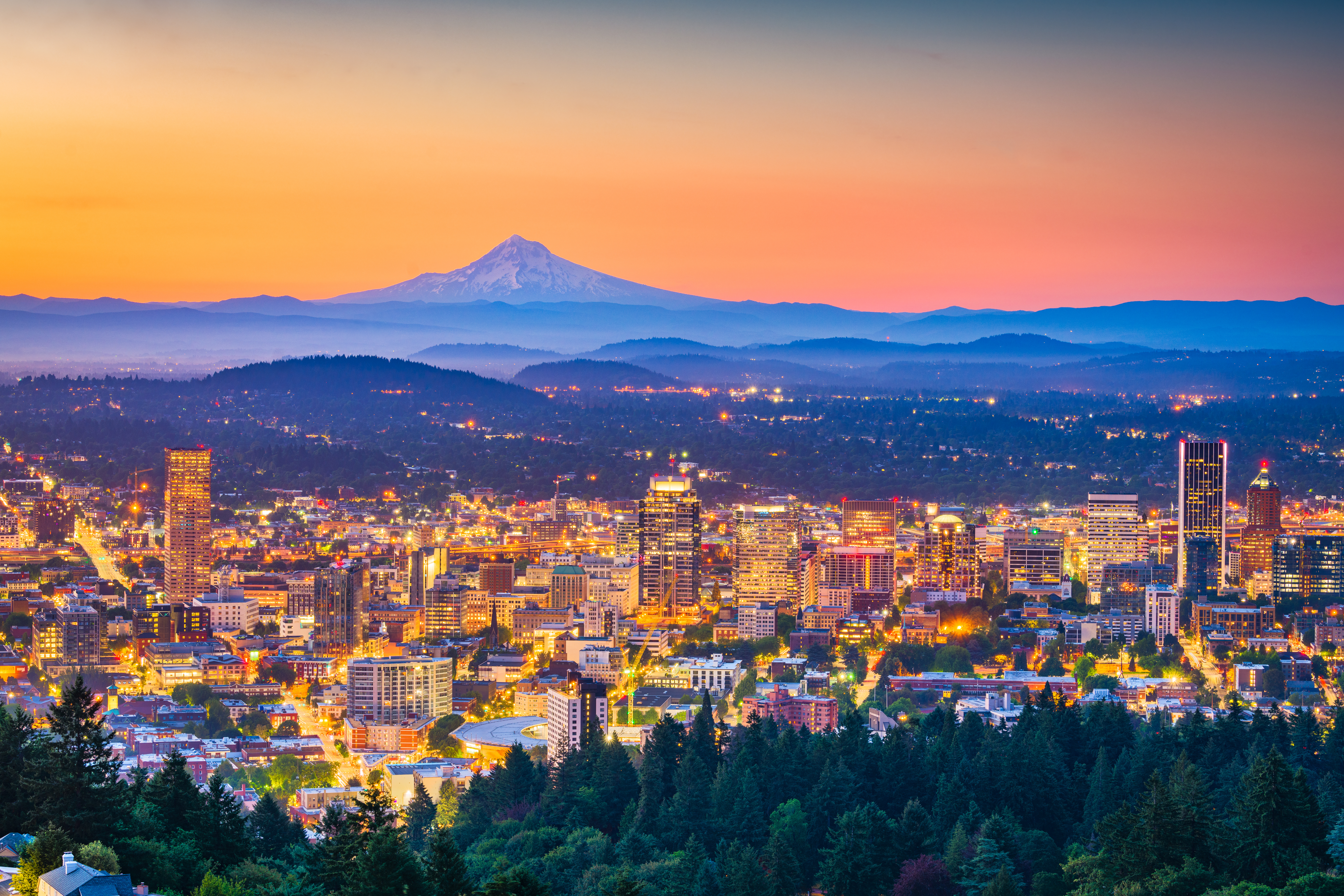 AdobeStock_212173896